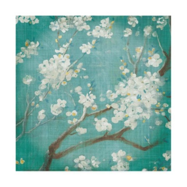 Trademark Fine Art Danhui Nai 'White Cherry Blossoms I Aged No Bird' Canvas Art, 14x14 WAP10684-C1414GG